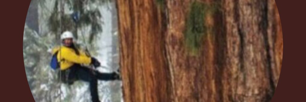 baquerin's profile banner image