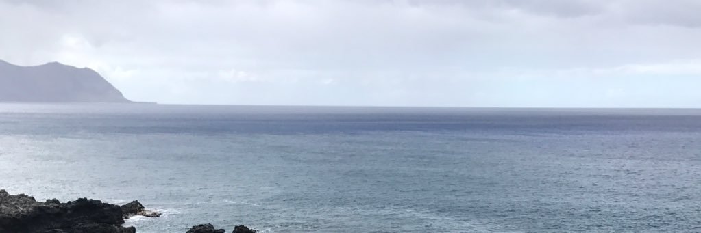osoono17's profile banner image