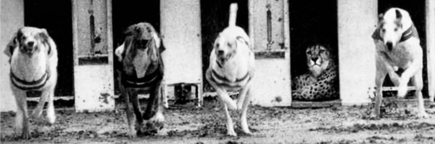 Inderjeet Singh banner