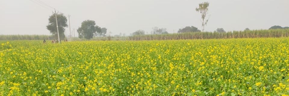 Vivekiswise's profile banner image