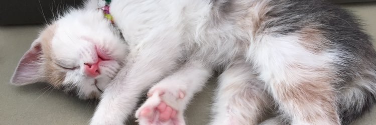 ozguSymm's profile banner image