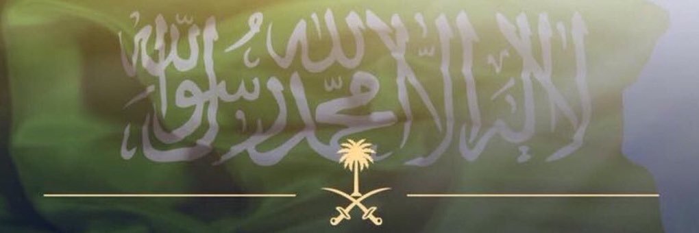 nan_S100's profile banner image