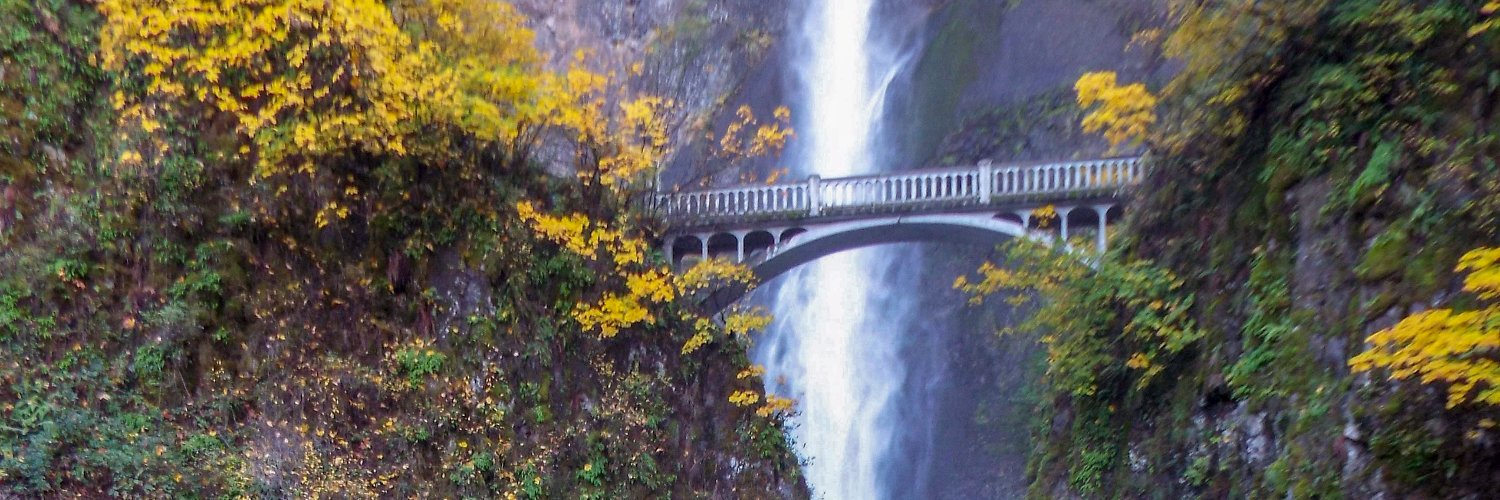 sisihayden's profile banner image