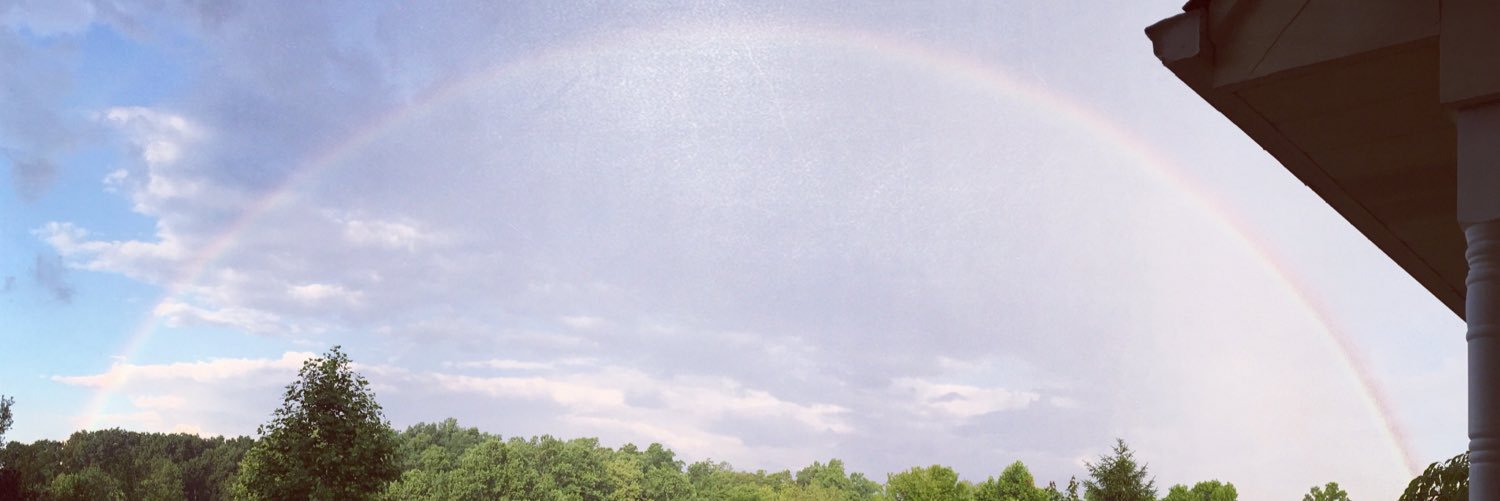 stethosoph's profile banner image