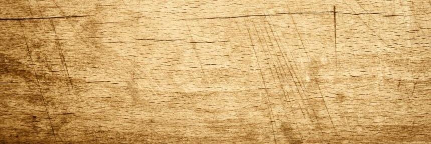 LargeNoises's profile banner image
