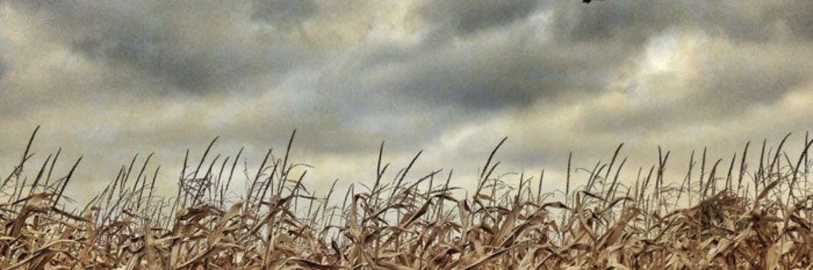 del_williams's profile banner image