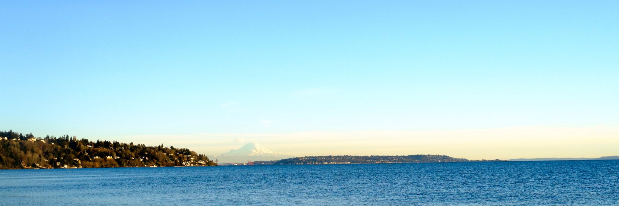 calesennett's profile banner image