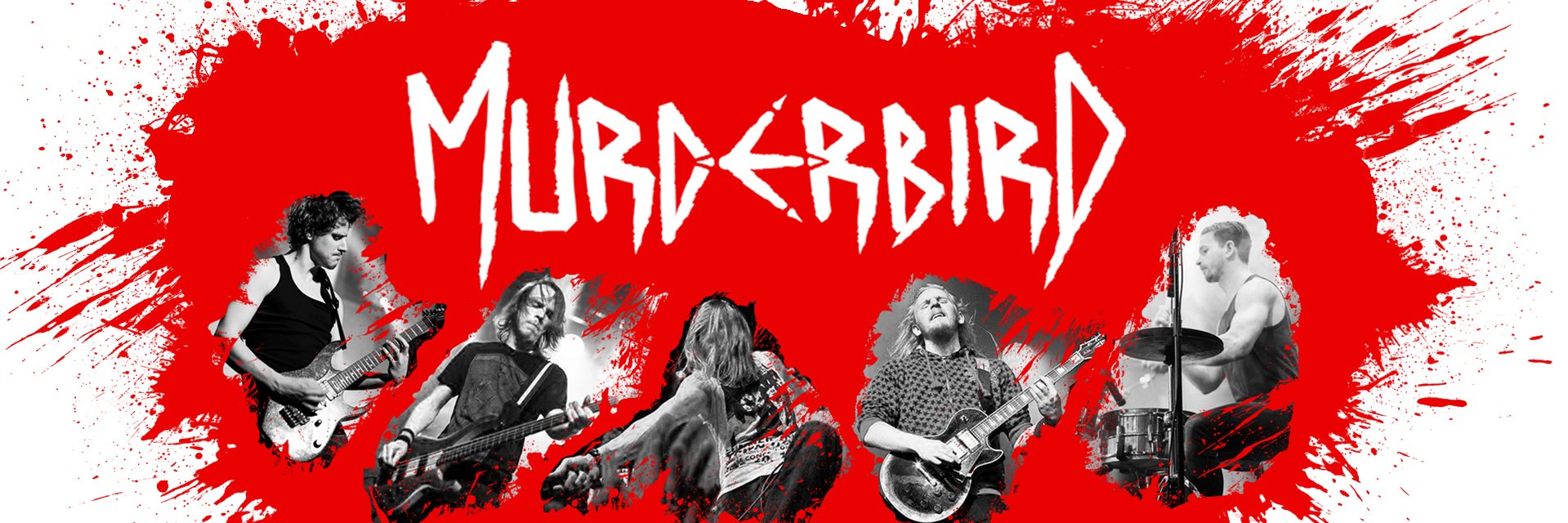 murderbirdband's profile banner image