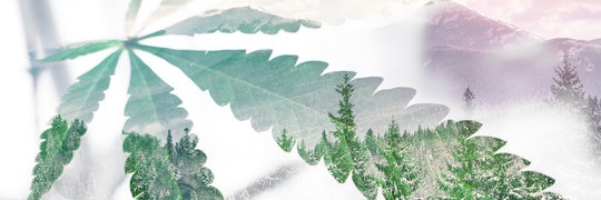 davidchiarelli's profile banner image