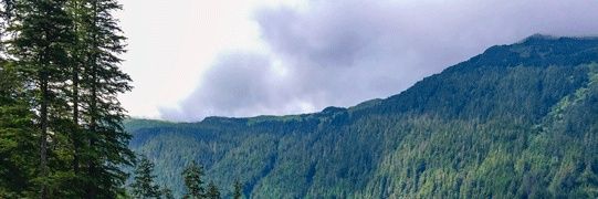 McKillius's profile banner image