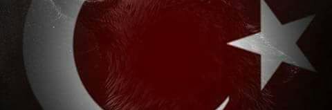tpl1239's profile banner image