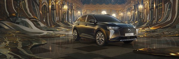 DS_fr Profile Banner