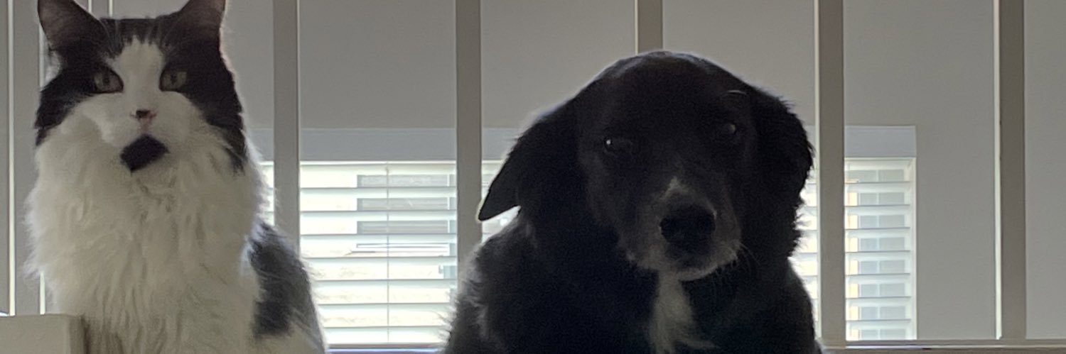 krystaframe's profile banner image
