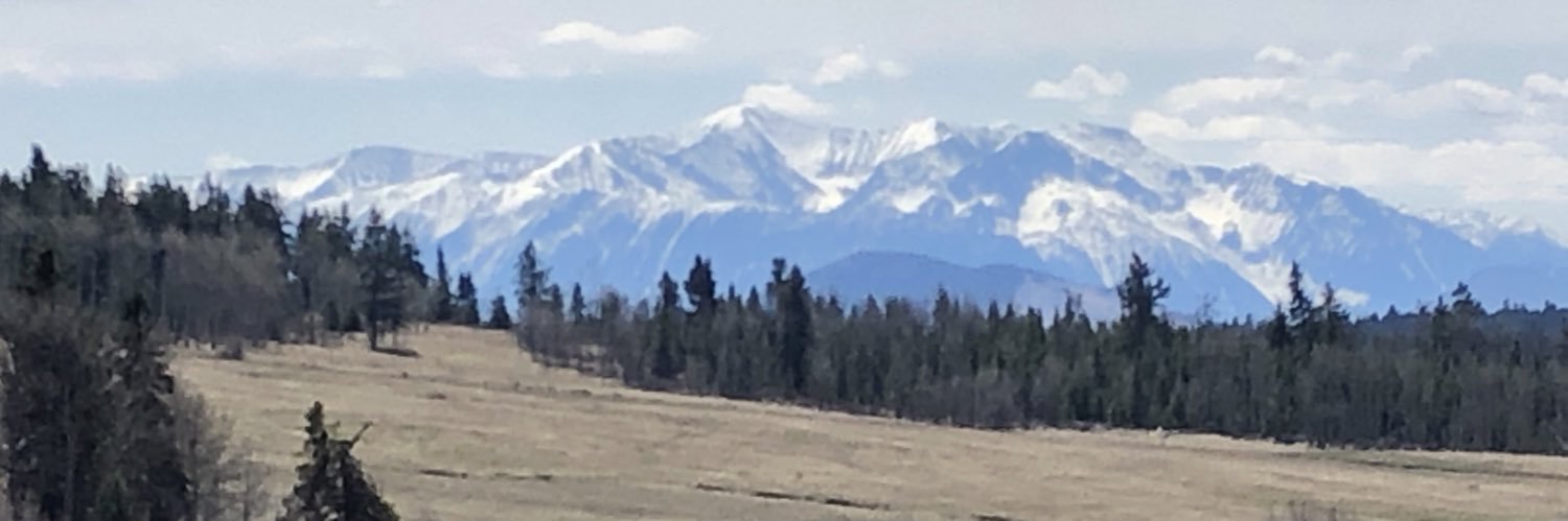 Caribooian's profile banner image