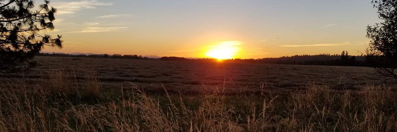 Exzanthia McCarthy banner