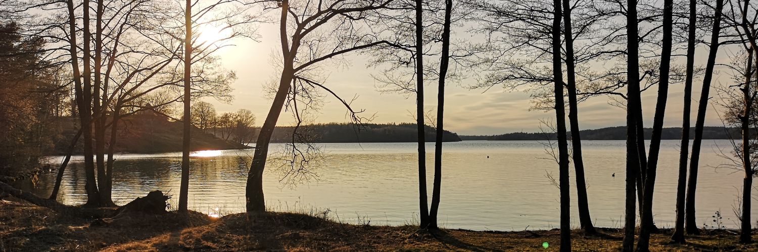 NilssonAlexandr's profile banner image