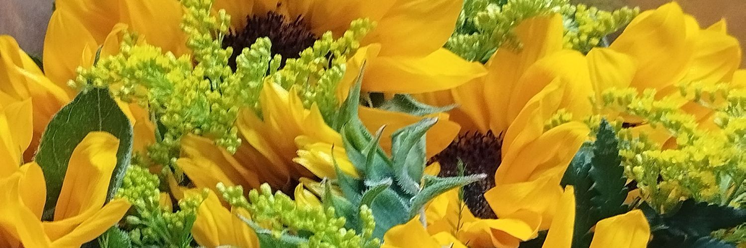 laraferreeira_'s profile banner image