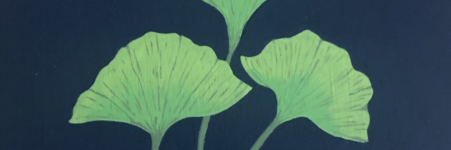 LidZBarnes's profile banner image