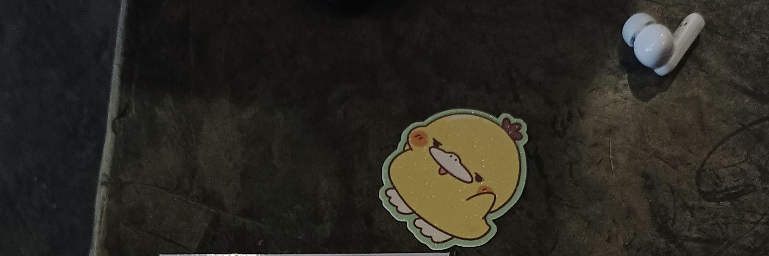 ayazpadmo's profile banner image