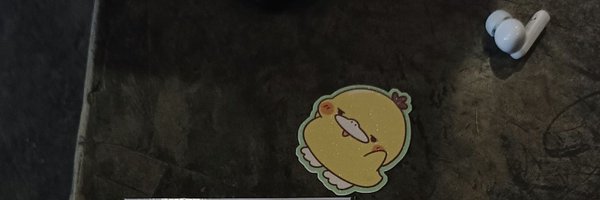 ayazpadmo Profile Banner