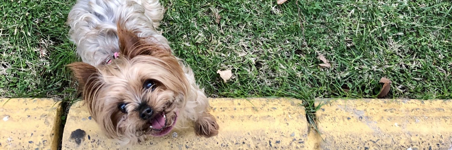 carlalabra's profile banner image