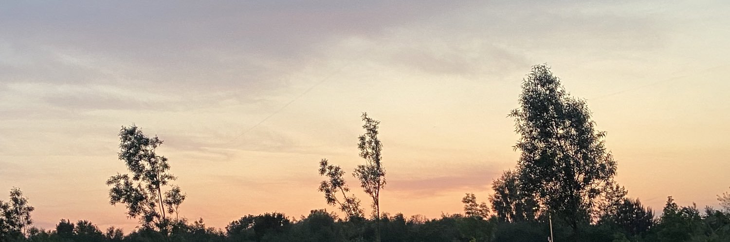 amandacurbelo_'s profile banner image