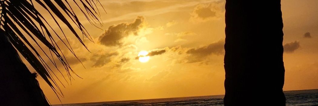 kwtfighting's profile banner image