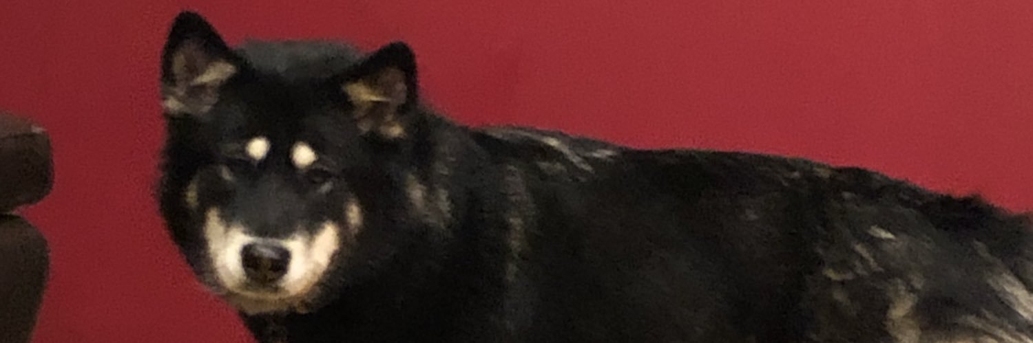 fflightmedic's profile banner image