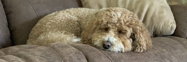 karmik13 Profile Banner