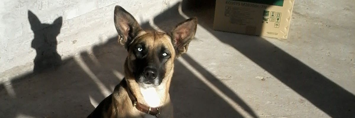 _matias_2000's profile banner image