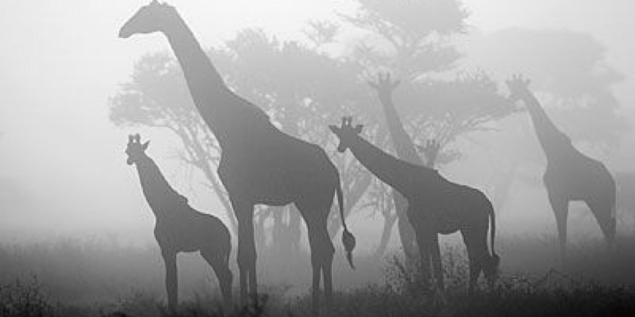 KarlaMJ18's profile banner image