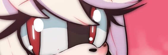 Fallen (Hedgehog) banner