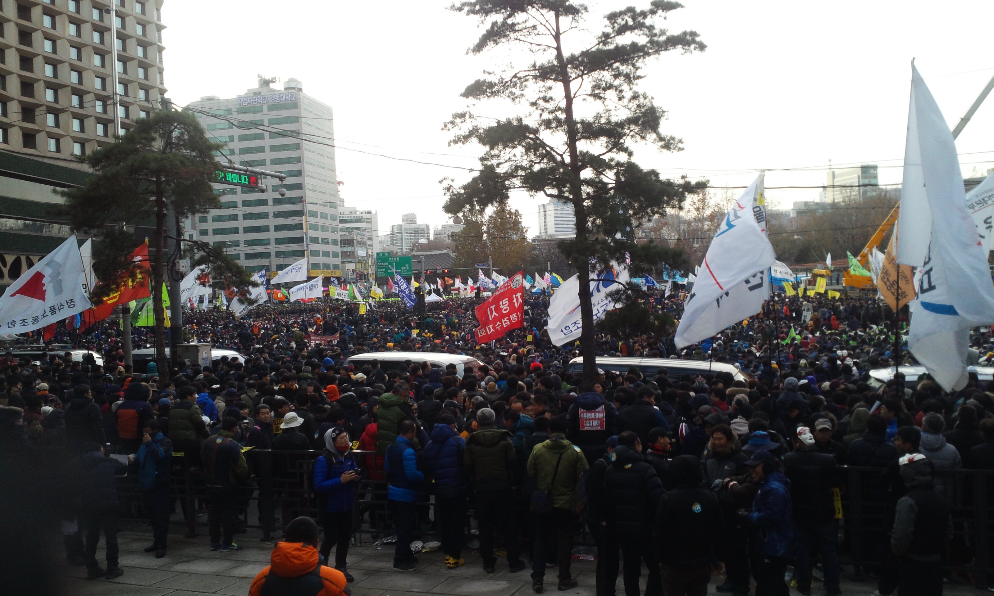 신대령 banner