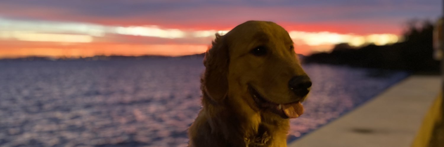vlassis's profile banner image