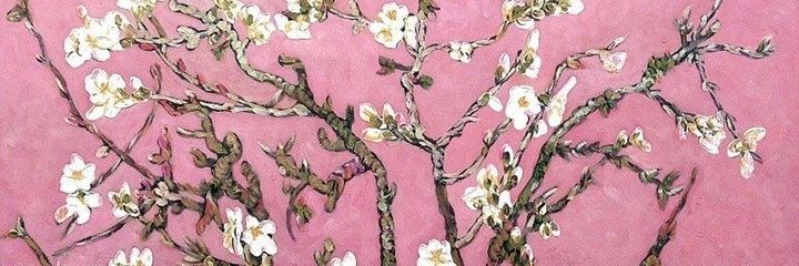 aleyna_ede's profile banner image