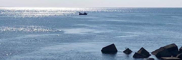 Jack Paturnia banner