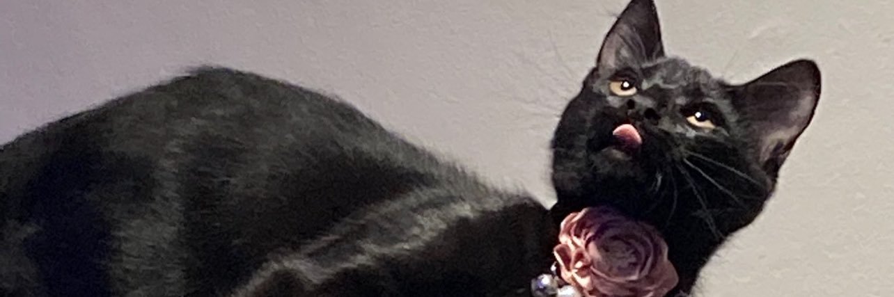trisha_ryckeley's profile banner image