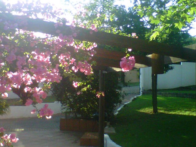 jill_devilliers's profile banner image