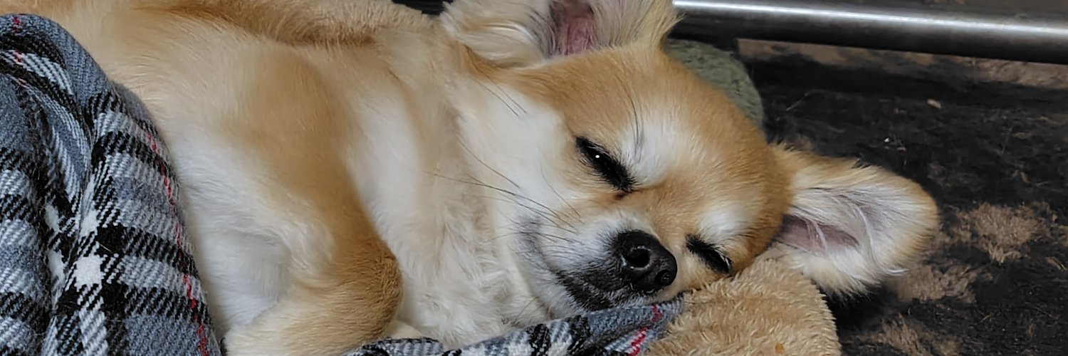 63y__'s profile banner image