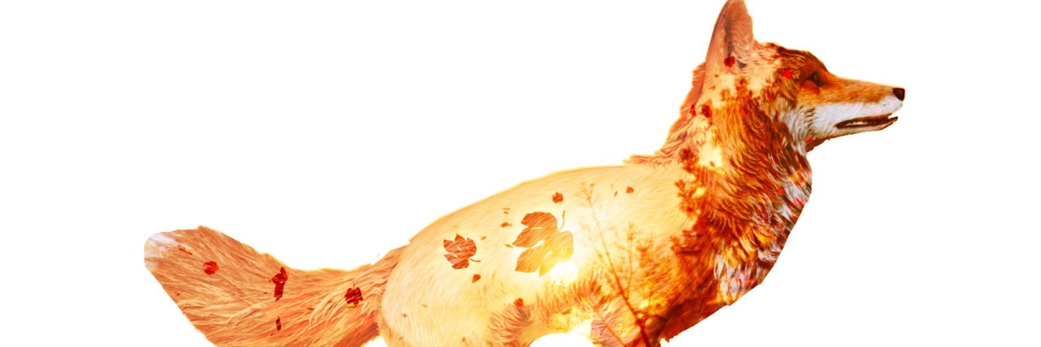 FoxyChefAmanda's profile banner image