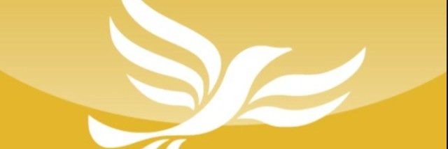 Daisy4Change's profile banner image