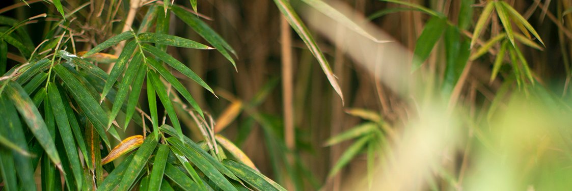 doidua_dc's profile banner image