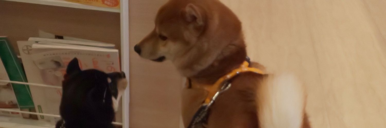 megusyan716's profile banner image