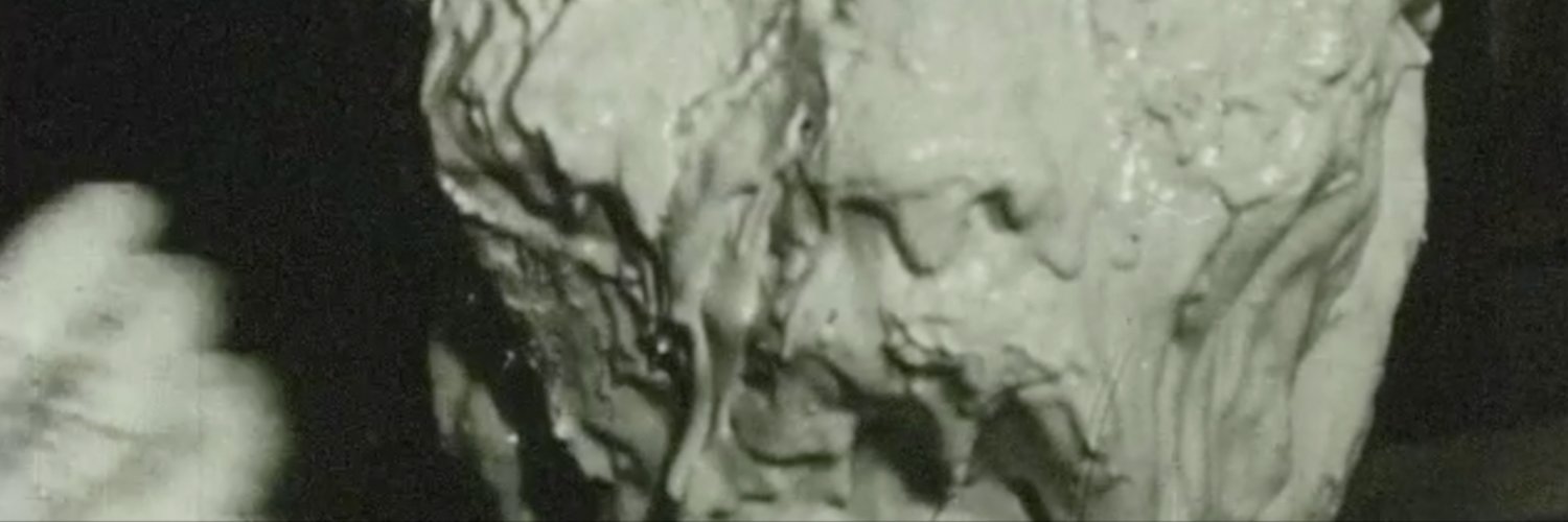 salsaparker's profile banner image