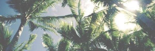 lwtomlinsun's profile banner image