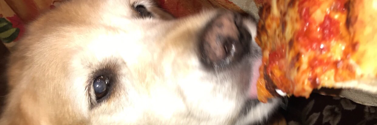 brookielapia's profile banner image