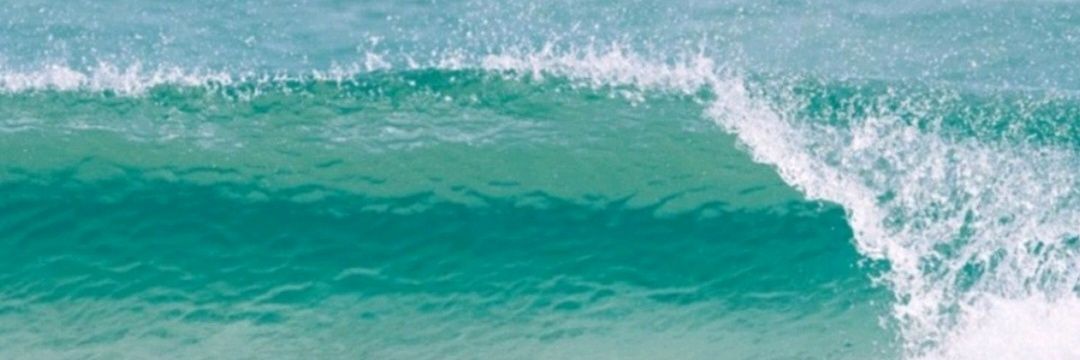 Andres Blanco banner