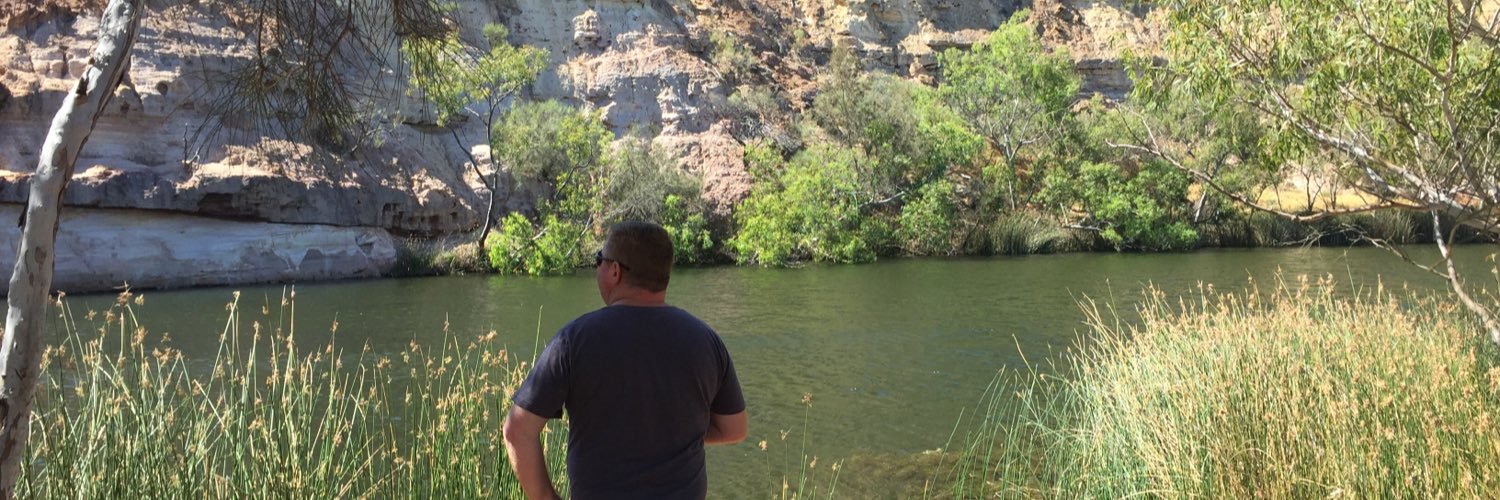 tihollins's profile banner image