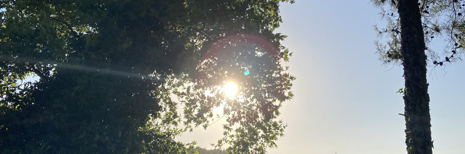 Ottozn16's profile banner image