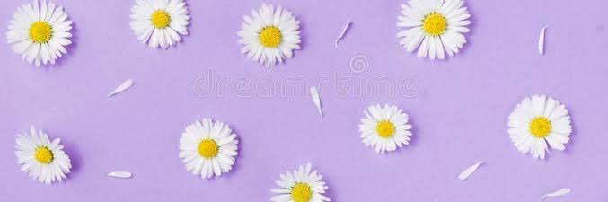 maybe_brooke's profile banner image